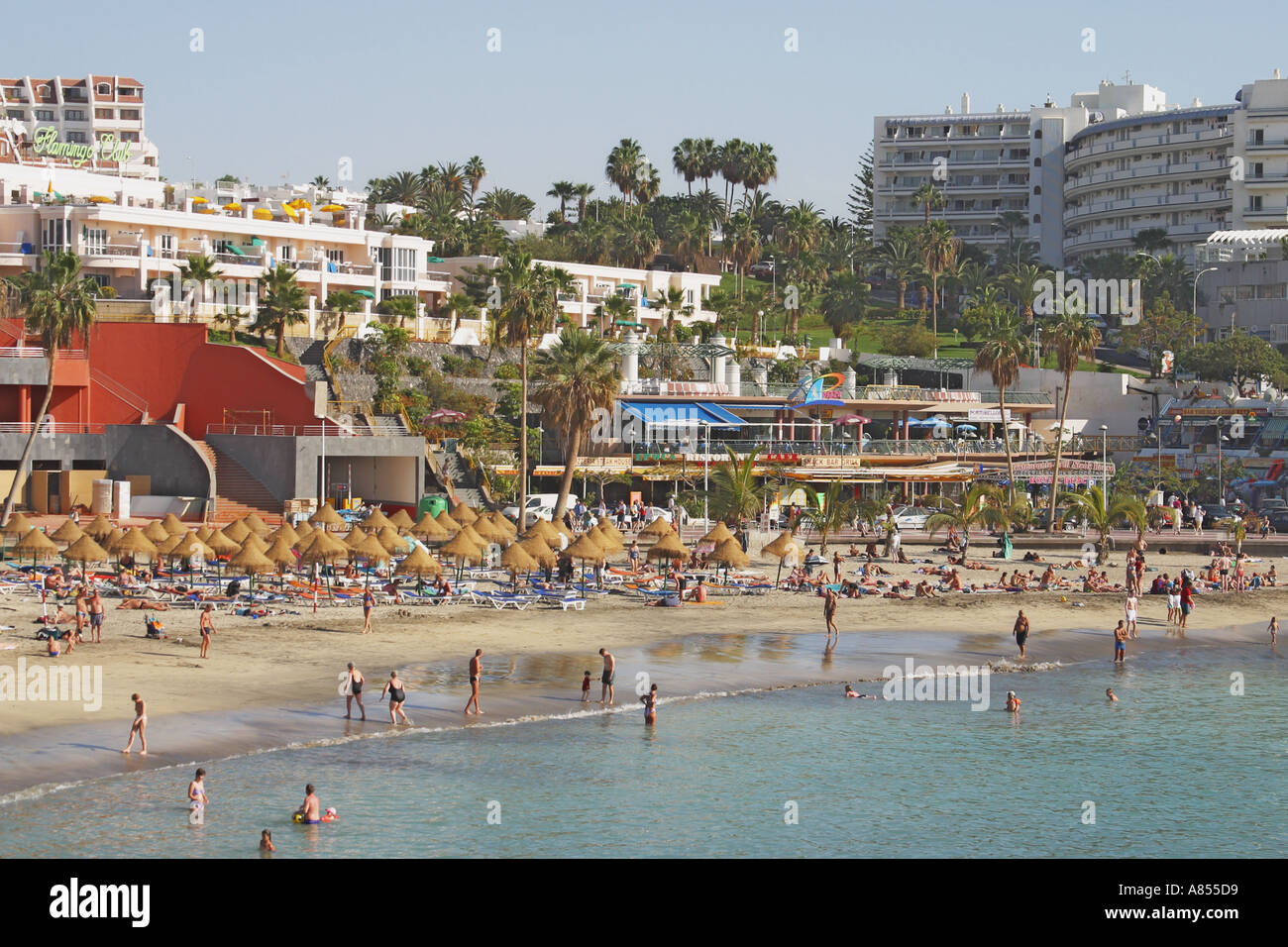 Playa La Pinta oder Colon, Costa Adeje, Teneriffa, Kanarische Inseln, Spanien. Stockfoto