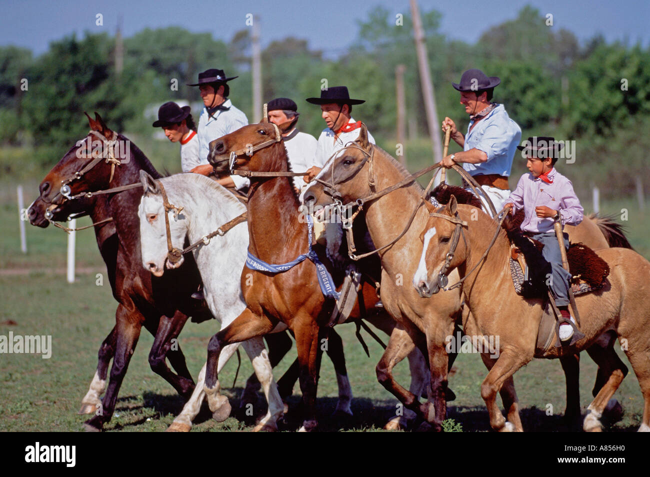 Süd-Amerika. Argentinien. Gauchos Reitpferde. Stockfoto