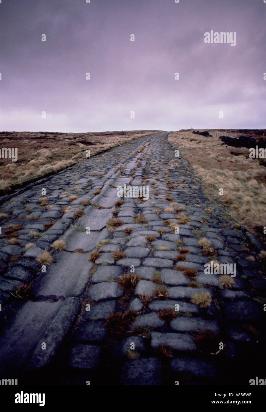 Vereinigtes Königreich. England. West Yorkshire. Blackstone Edge Long Causeway Roman Road. Stockfoto