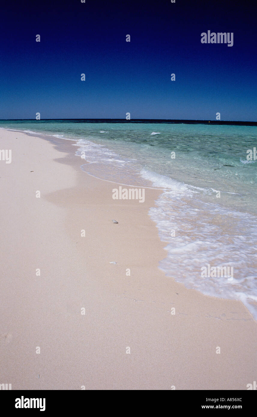 Australien. Queensland. Great Barrier Reef.  Biber Cay. Einsamen Strand und Meer an sonnigen Tag. Stockfoto