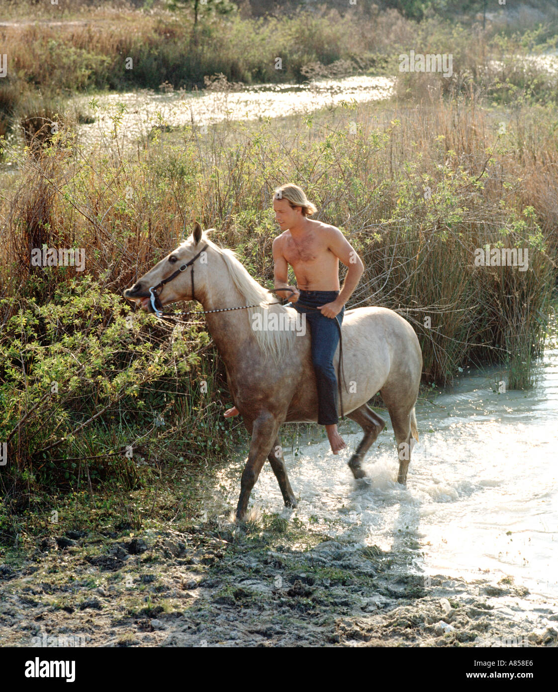 Reiten pferd nackt