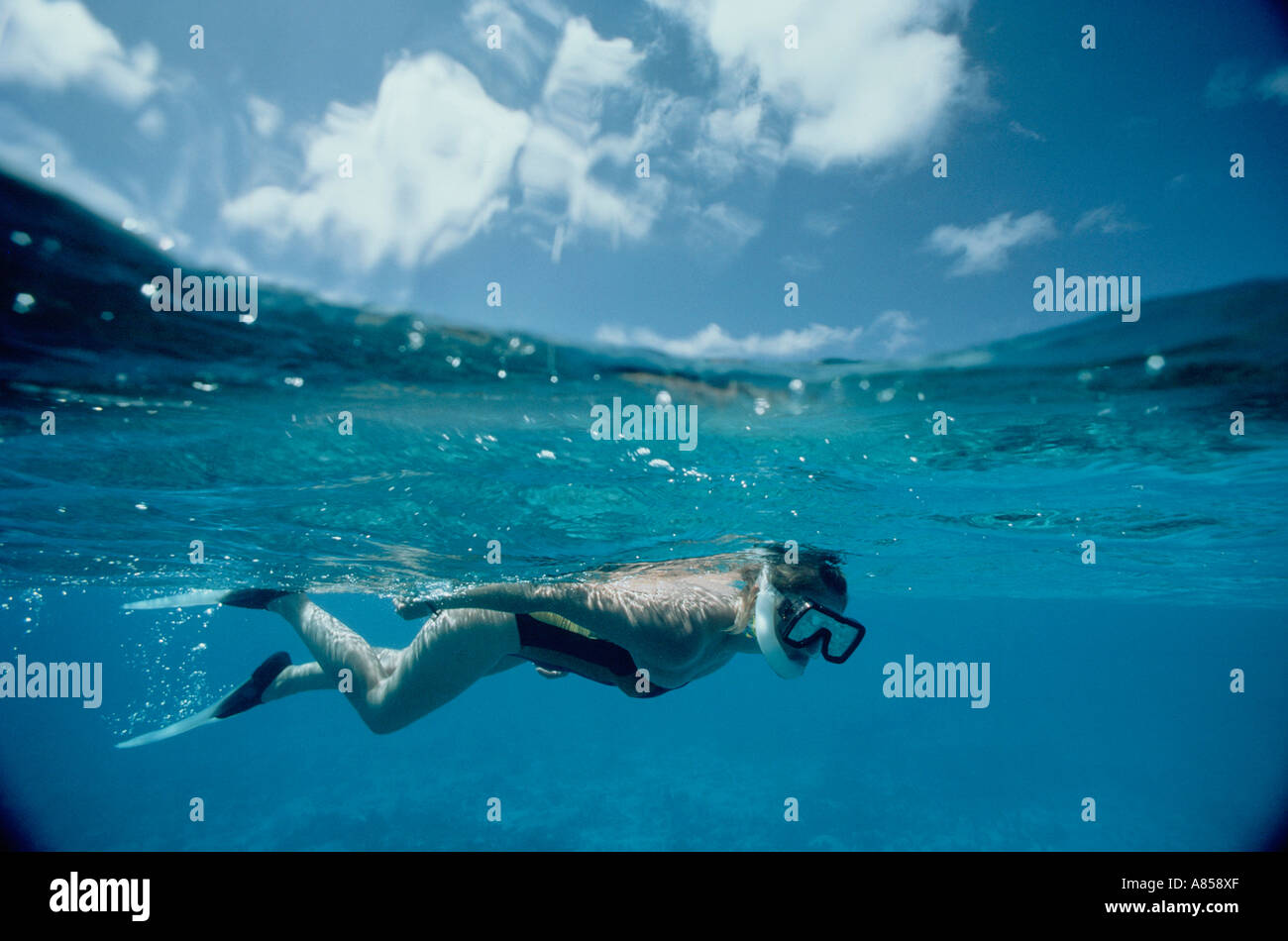 Unterwasser Foto von junge Frau Schnorcheln. Queensland. Australien. Stockfoto