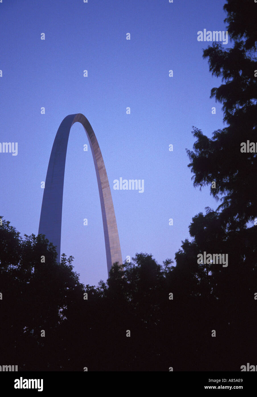 Der Gateway Arch, umrahmt von Bäumen in der Abenddämmerung Jefferson National Expansion Memorial St. Louis Missouri Stockfoto