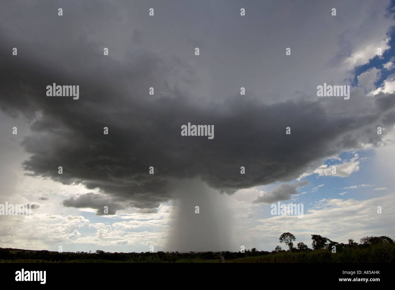 Erschossen in der Nähe der Stadt Jaciara dieses erstaunliche Cumulus Regenwolke und klare Sicht der Regen fällt von ihm. Stockfoto