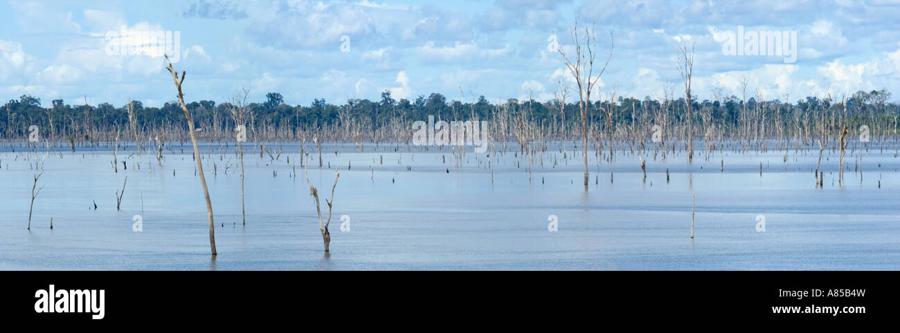 3 Bild Stich Panoramablick auf einer Fläche von überfluteten Regenwald Landschaft in Brasilien. Stockfoto