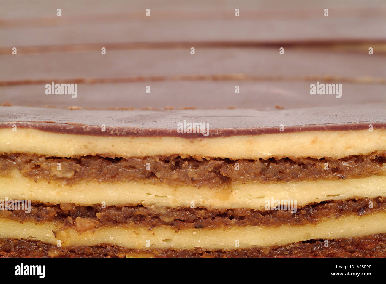 Scheiben von Orah Snita Schokolade bedeckt Walnuss Kuchen Stockfoto