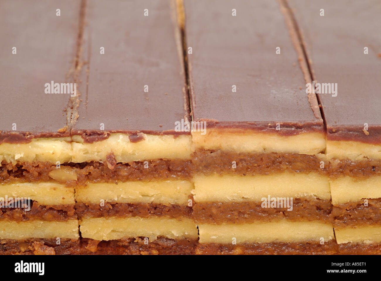 Scheiben von Orah Snita Schokolade bedeckt Walnuss Kuchen Stockfoto