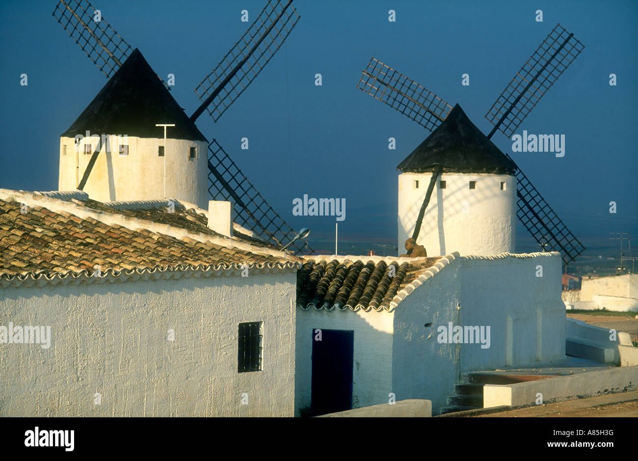 CAMPO DE CRIPTANA CIUDAD REAL PROVINZ SPANIEN WINDMÜHLEN Stockfoto