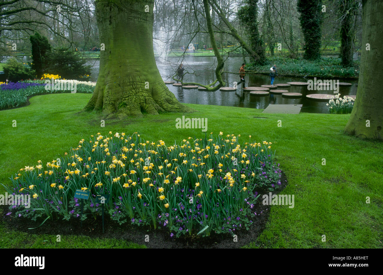 TULPEN IM KEUKENHOF GÄRTEN HOLLAND Stockfoto