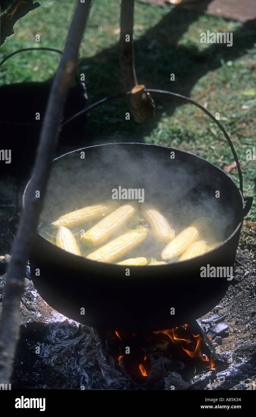 Schmoren Topf mit Mais auf Woodeen Feuer Stockfoto