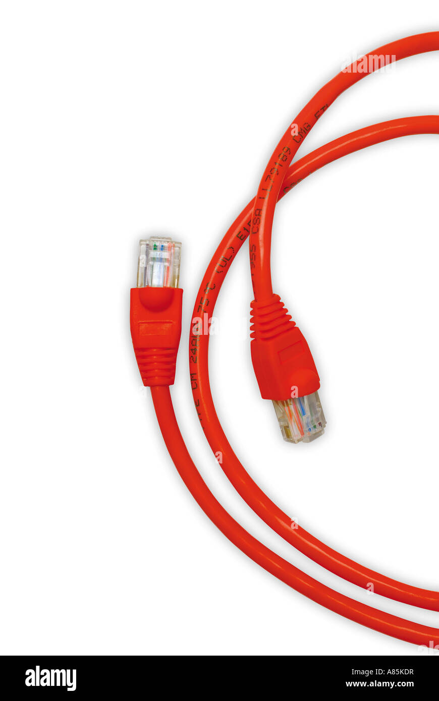 NETZWERK-KABEL-INTERNET-STECKER AUF WEIßEM HINTERGRUND Stockfoto