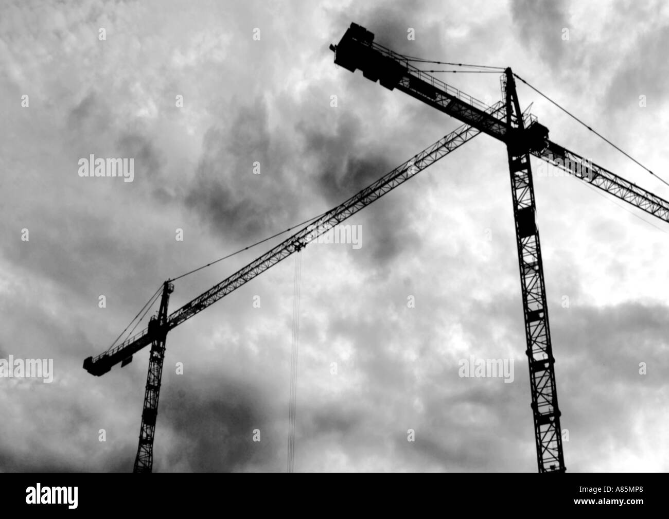 Arbeit-Krane Stockfoto