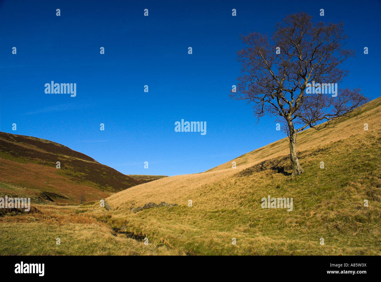 Ein Blick auf Howden Moors in High Peak-Immobilien. Stockfoto