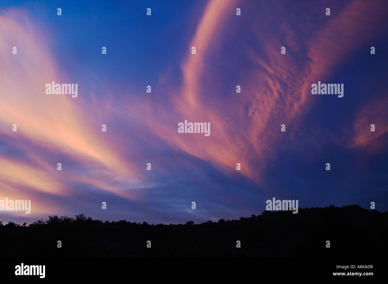 Sonnenuntergang Uvalde County Hill Country Texas USA April 2006 Stockfoto