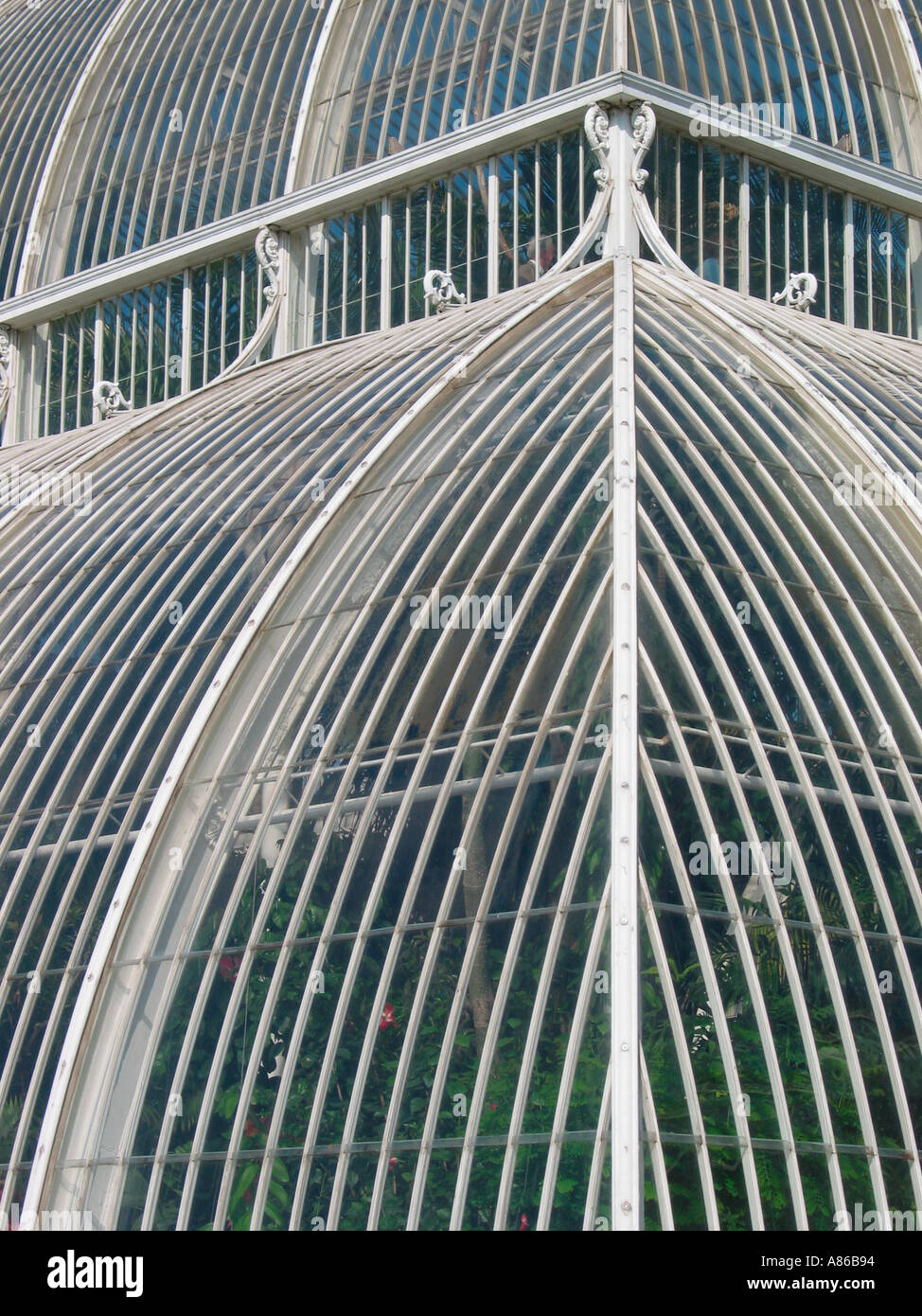 Palm House, Kew Gardens, Royal Botanic Gardens, Richmond, London, England, Großbritannien Stockfoto