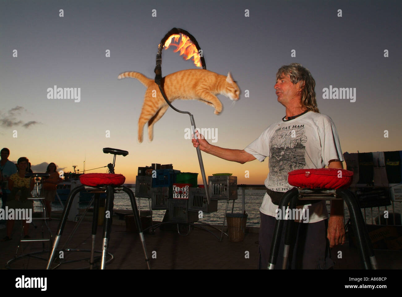 Das Catman führt mit live ausgebildete Katzen am Mallory Square Sunset Celebration Stockfoto