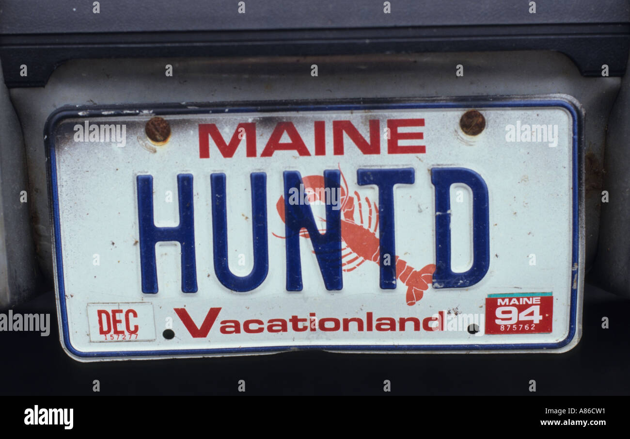 Amerikanische USA Registrierungsnummer Platte Auto Maine Hunter Stockfoto