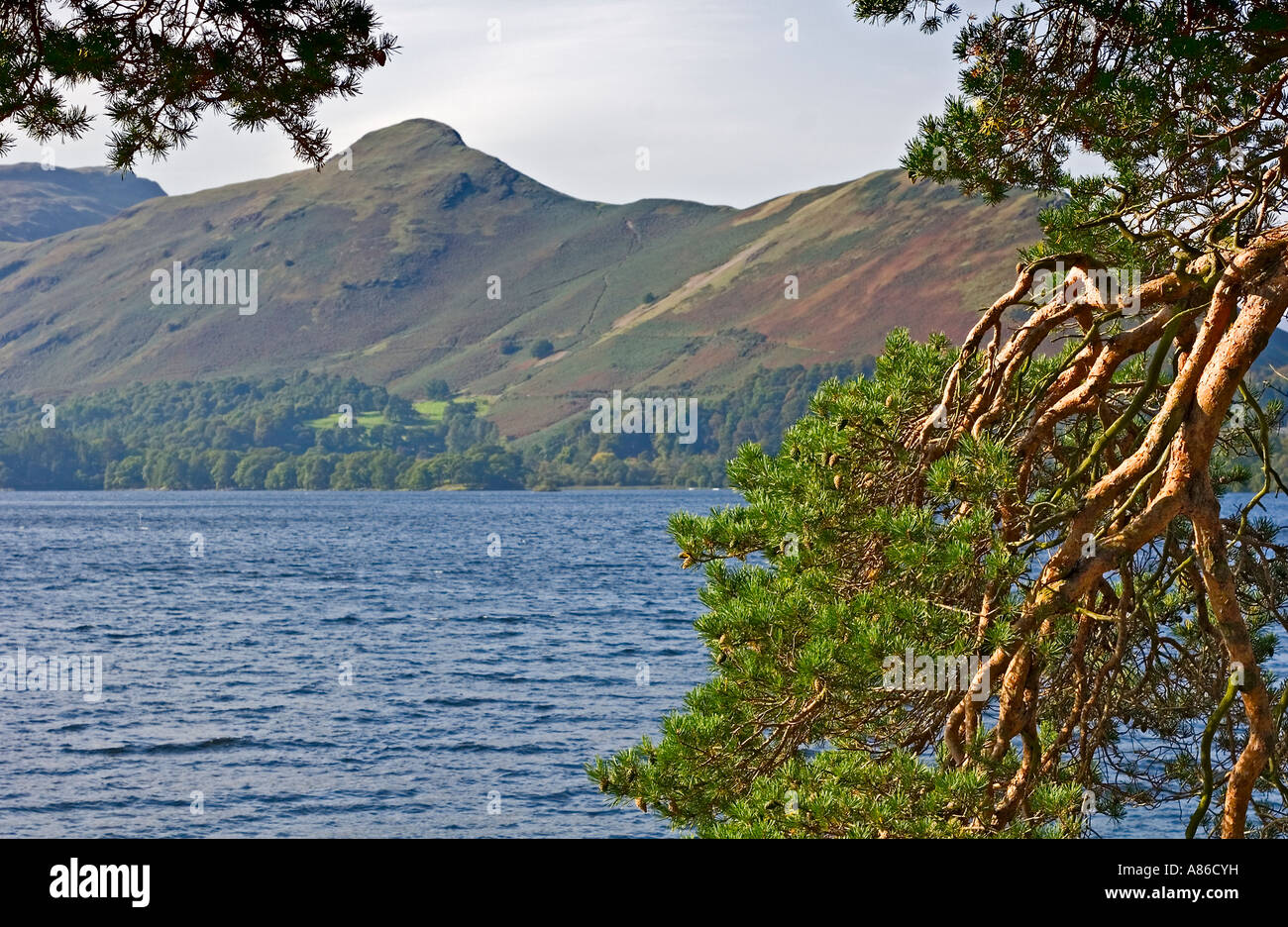 Blick auf Catbells, Lake District Stockfoto