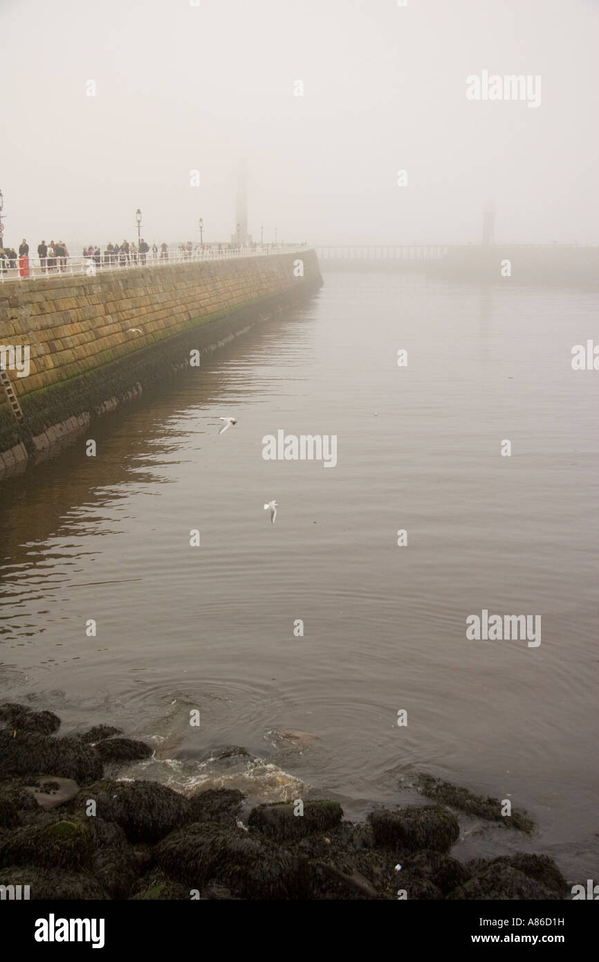 Whitby Hafen Wellenbrecher an einem nebeligen Tag Stockfoto