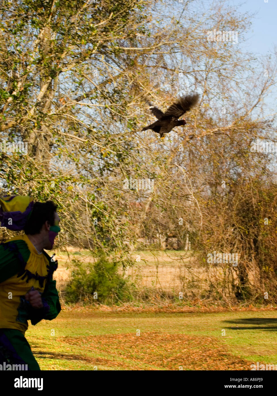 Chicken Chase während Courir du Mardi Gras Kirche Punkt Louisiana LA USA Stockfoto