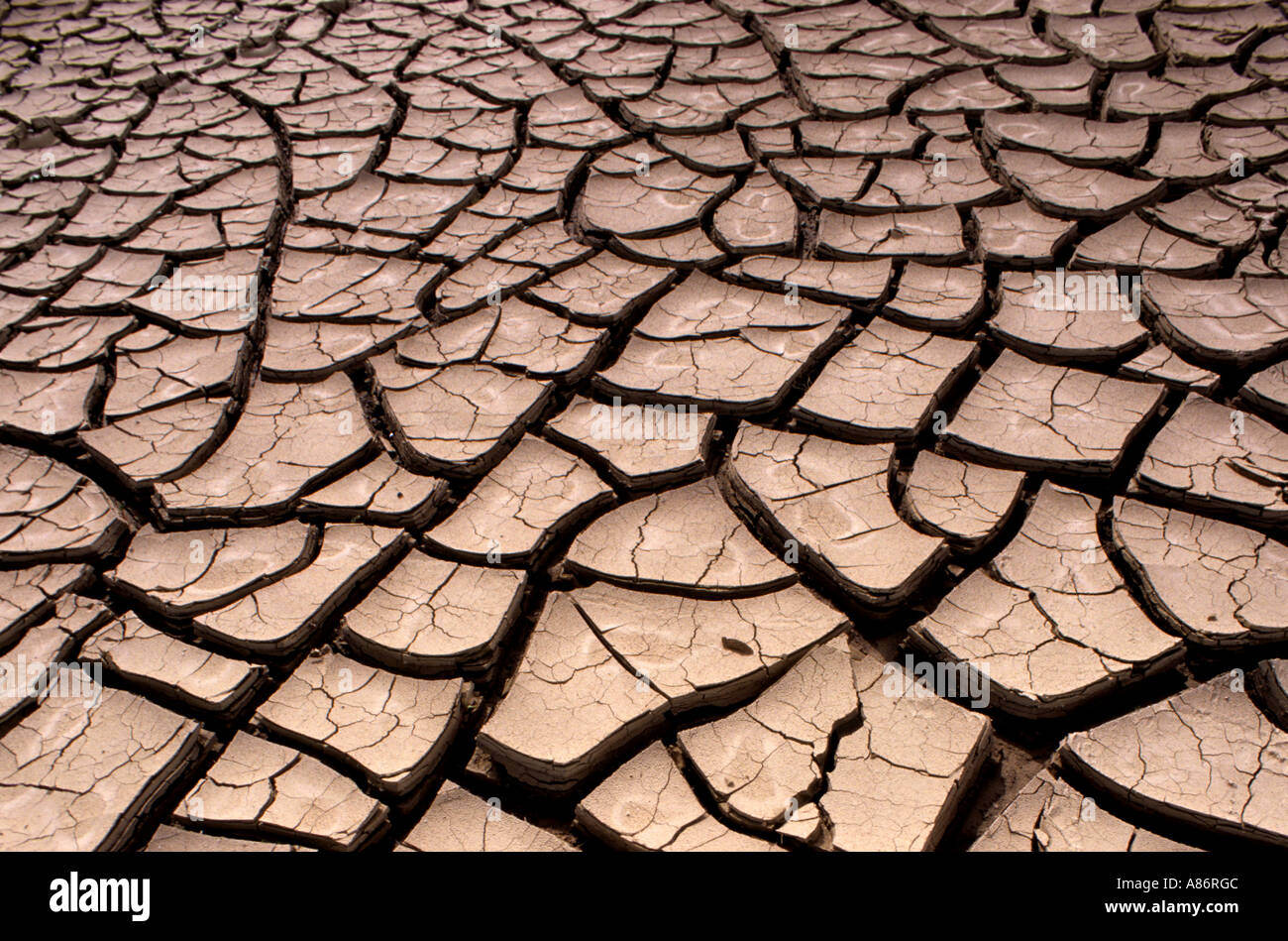 Desert Dry Mud USA USA Death Valley Stockfoto