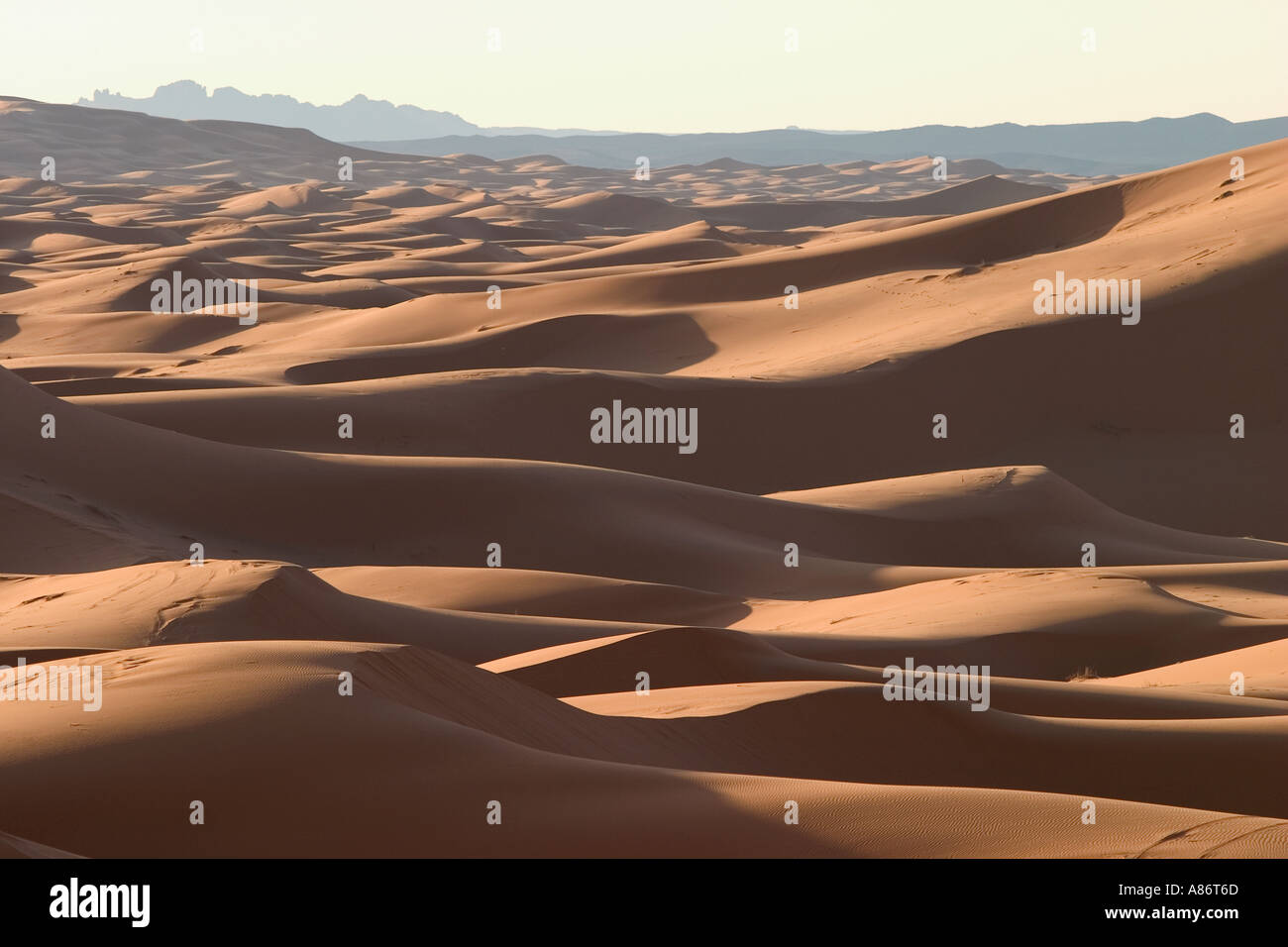 Erg Chebbi Sanddünen in der Nähe von Merzouga, Marokko Stockfoto