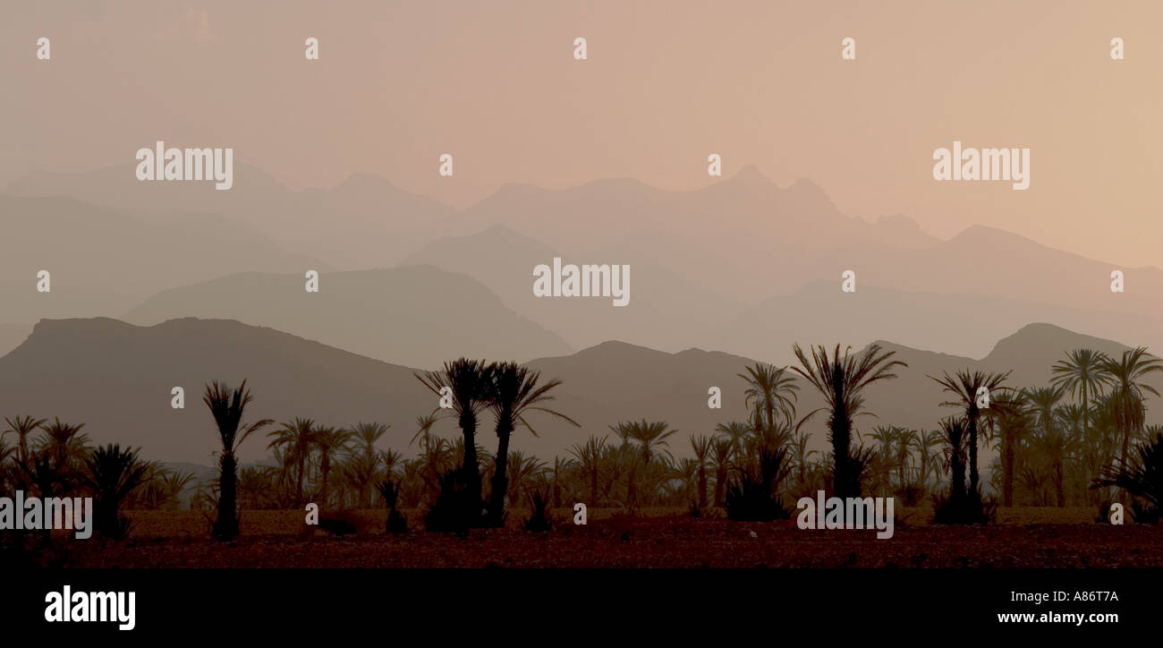 Berge und Palmen bei Sonnenuntergang Marokko Stockfoto