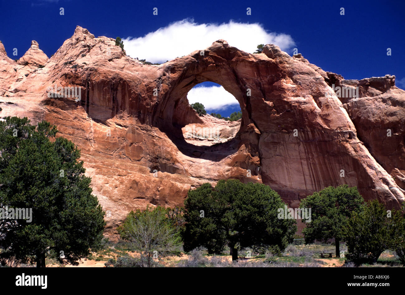 Vereinigte Staaten USA Arizona Fenster Rock Navajo Hauptstadt Bergen Stockfoto