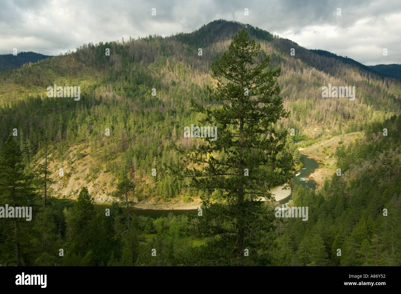 Illinois River Canyon unter Website 2002 Keks Feuer, Kalmiopsis Wildnis, Siskiyou Mountains, Southern Oregon, Mai Stockfoto