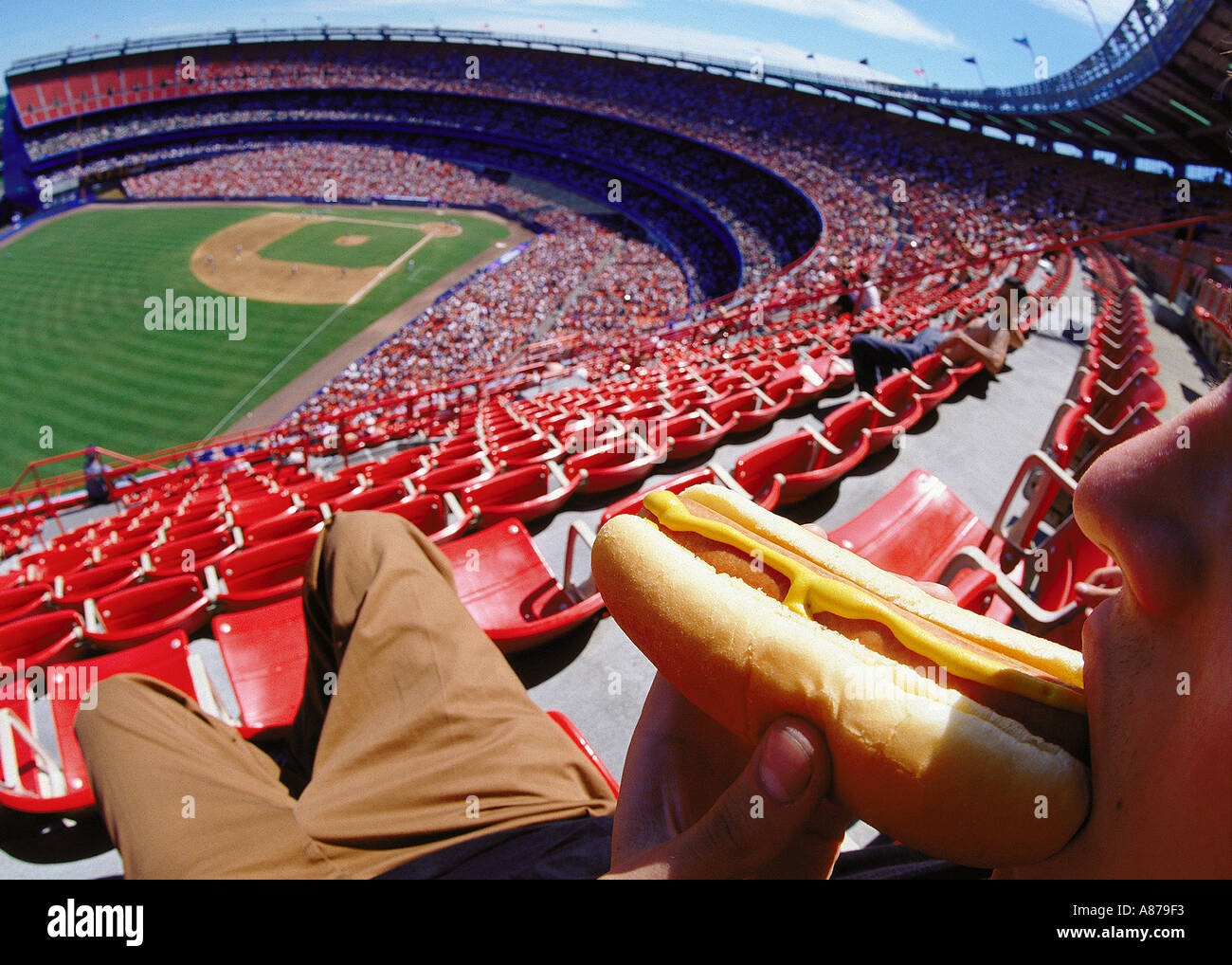 Blick vom hoch über dem Gebiet als Zuschauer bei einem Baseball Spiel beißt in einen Hot Dog mit Senf Stockfoto