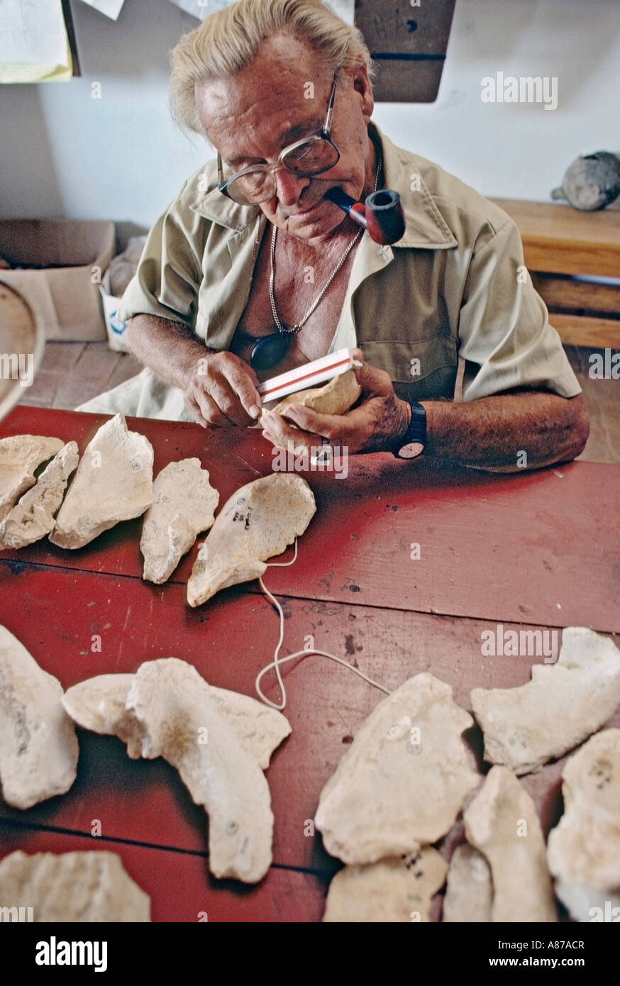 Archäologe im Labor Stockfoto