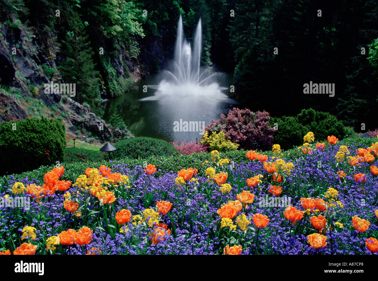 Multi farbige Blumen und einen Wasserfall im Butchard Gardens in Victoria British Columbia Kanada Stockfoto