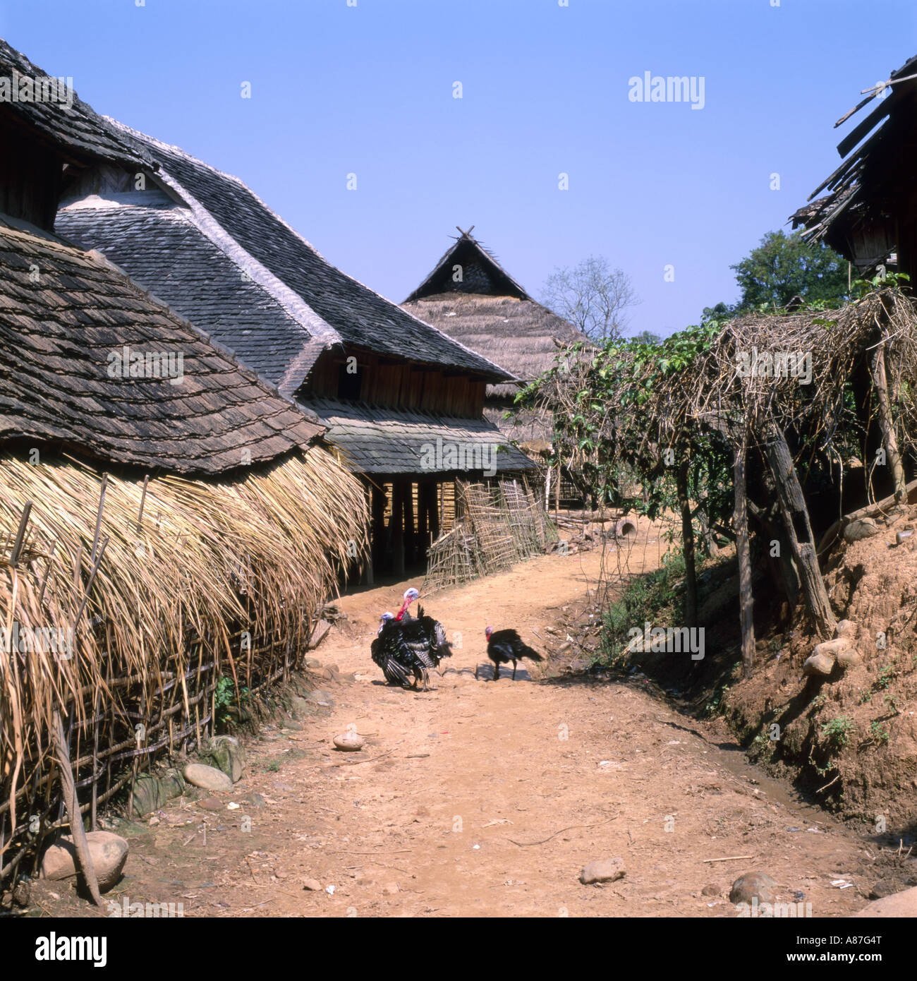 Schlamm-Straße und traditionelle ländliche Holz und Stroh Häuser in einem kleinen Dorf in der Nähe von Jinghong, Yunnan Provinz, China Stockfoto