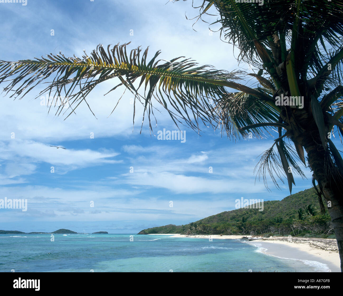 Ruhiger Strand, Saltwhistle Bay, Mayreau, The Grenadines, West Indies, Karibik Stockfoto