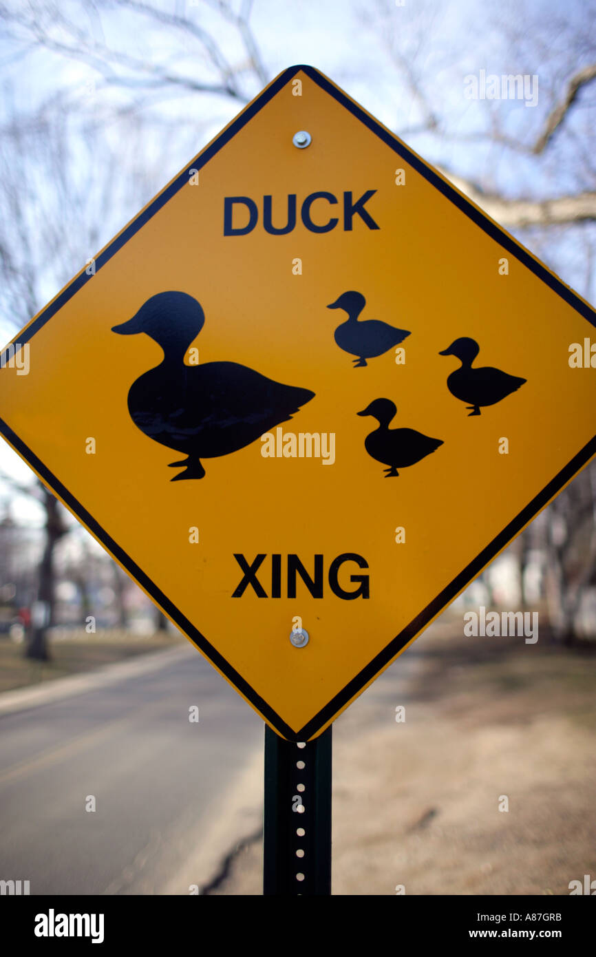 Duck Crossing Schild mit Entenküken und Mutter Ente Stockfoto