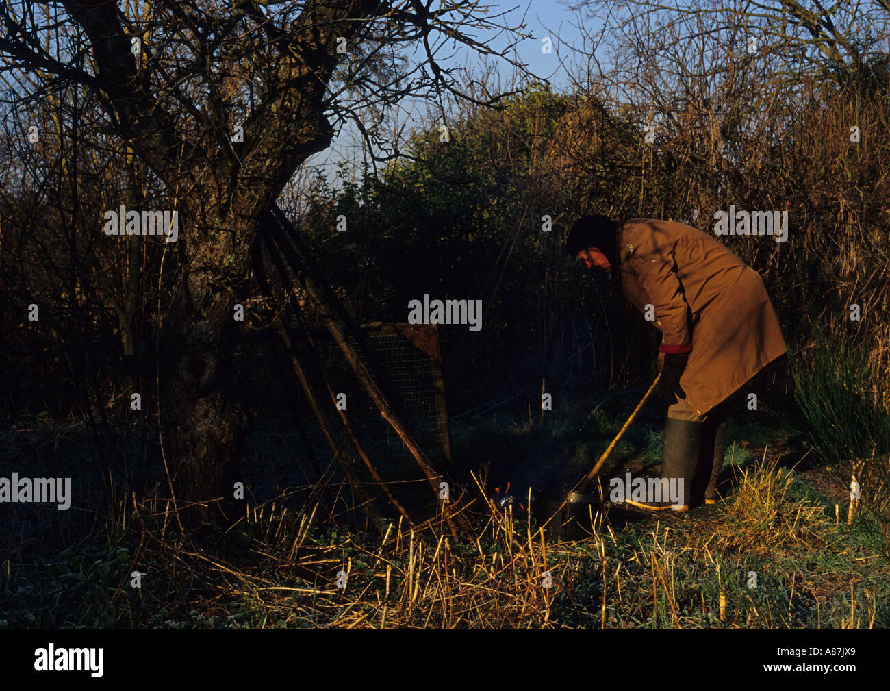 Alter Mann im Garten im Vereinigten Königreich Stockfoto