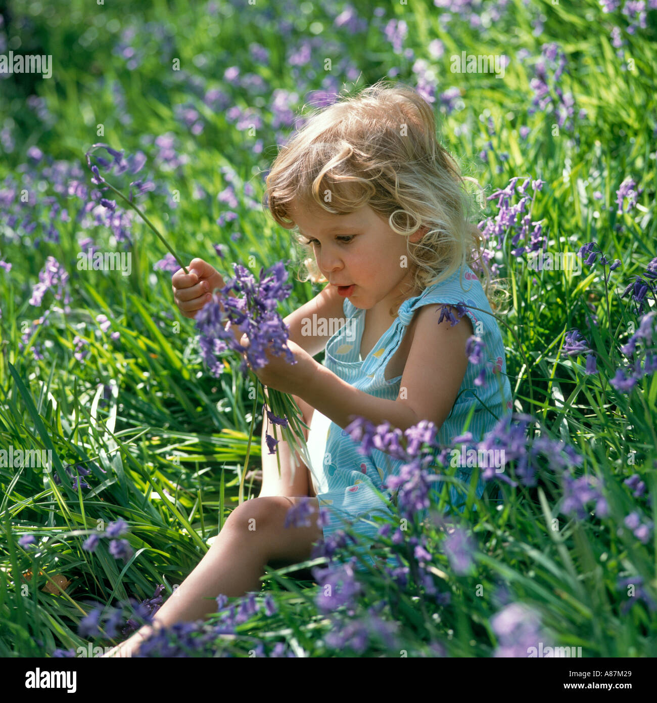 Porträt eines kleinen Mädchens, das in EINEM bluebellten Wald sitzt, West Yorkshire, England, Vereinigtes Königreich Stockfoto
