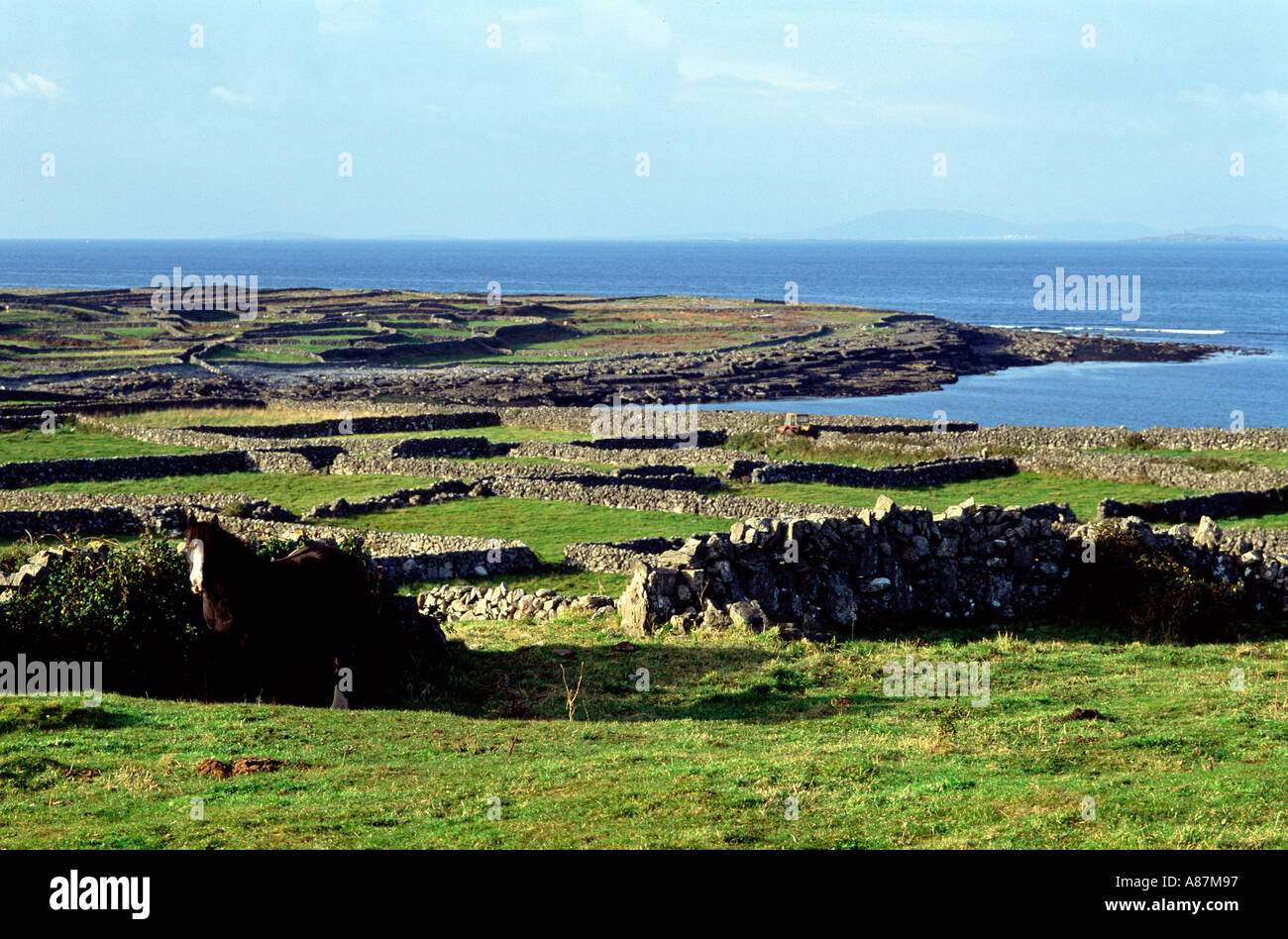 Inishmore Araninseln Co Galway Irland Stockfoto