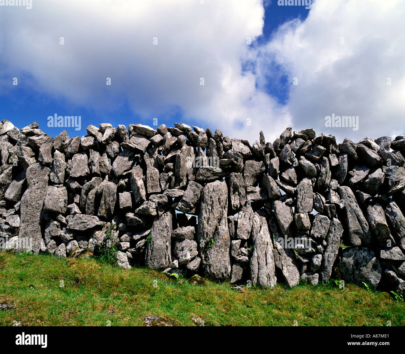 Stein Wand, Burren, Co. Clare, Irland Stockfoto