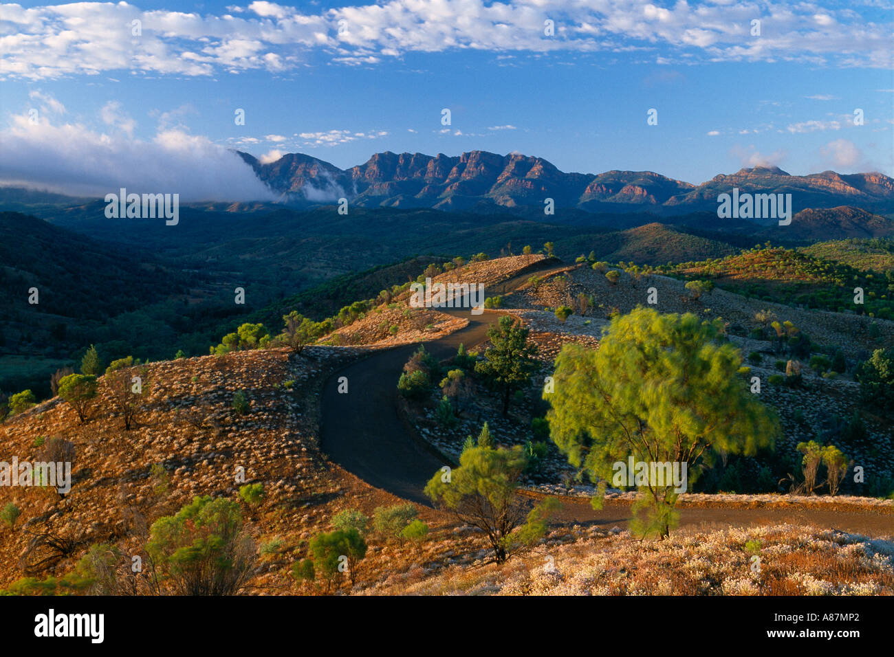 Bunyerro Schlucht Flinders Ranges-South Australia-Australien Stockfoto