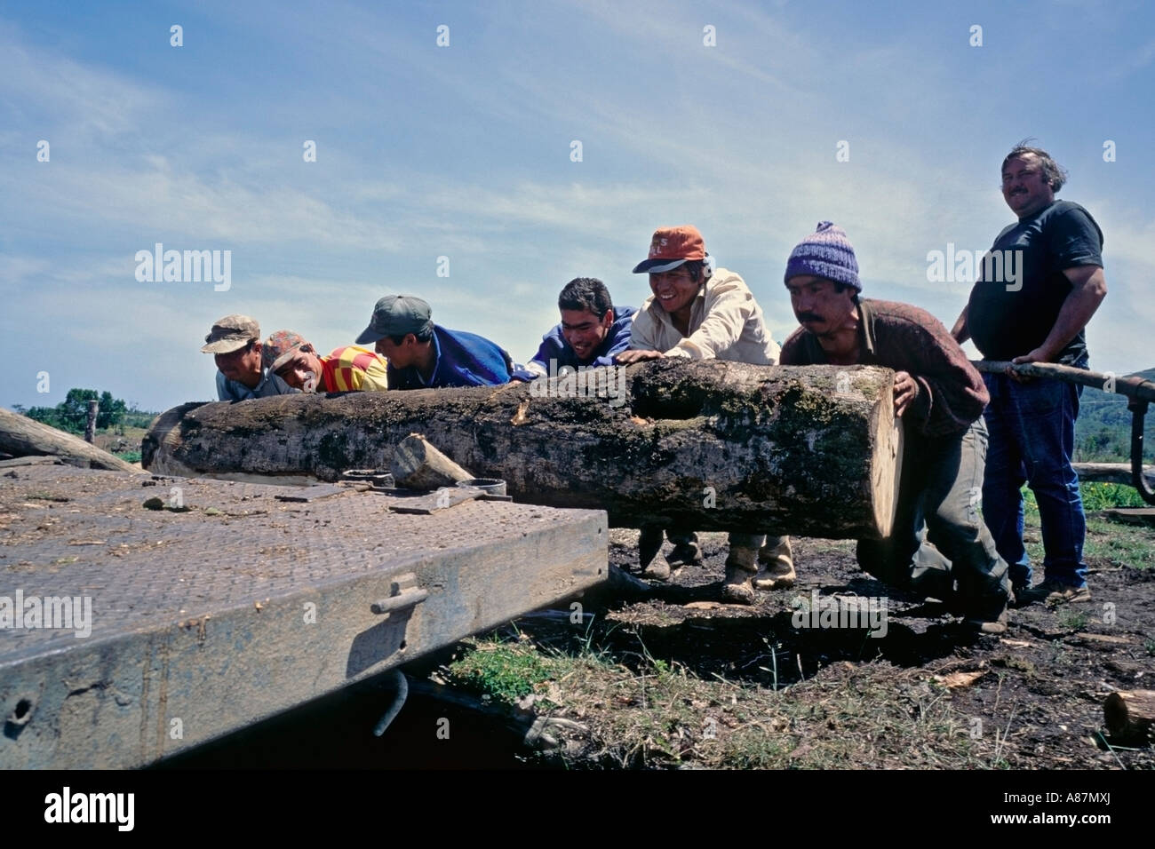 Holz-Arbeiter laden ein Protokoll auf einen Tieflader auf dem westlichen Teil der Insel Chiloé Chile Stockfoto