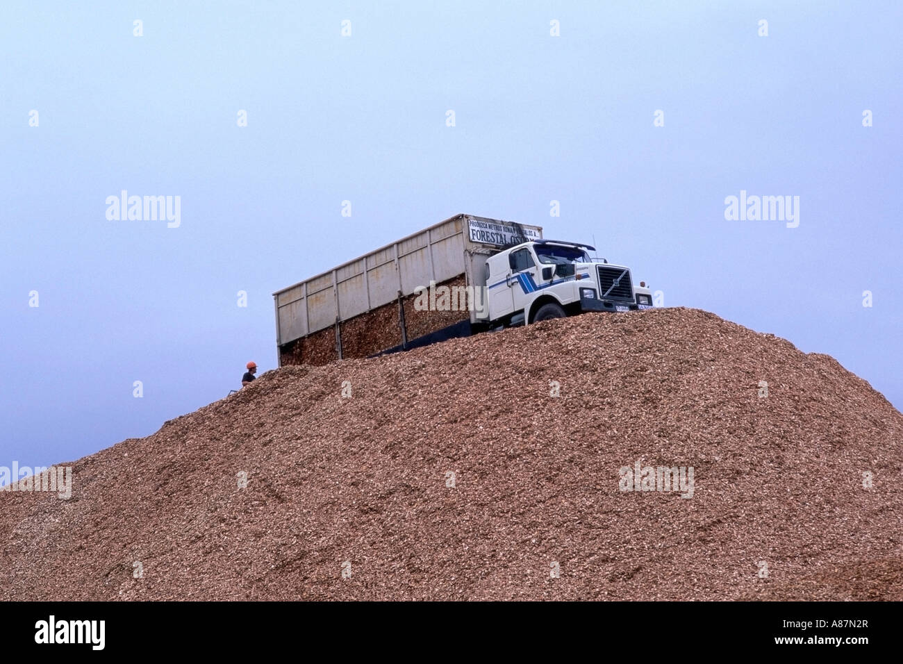 Sattelzug auf einen riesigen Haufen Hackschnitzel in Ancud auf der Insel Chiloé-Chile Stockfoto