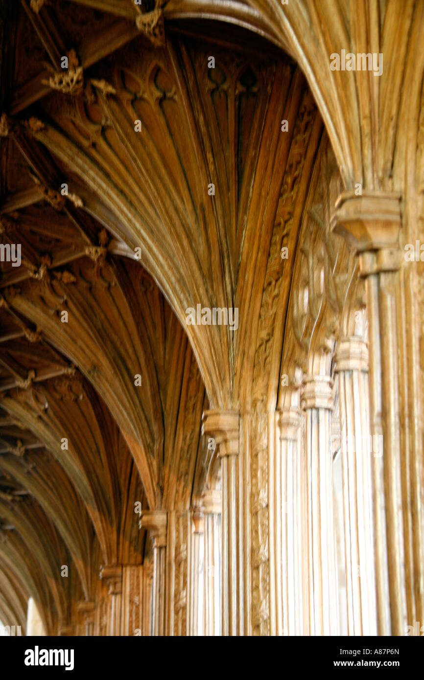 Fan gewölbten Decke im Inneren des Str. Georges Priory-Kirche, Dunster Stockfoto