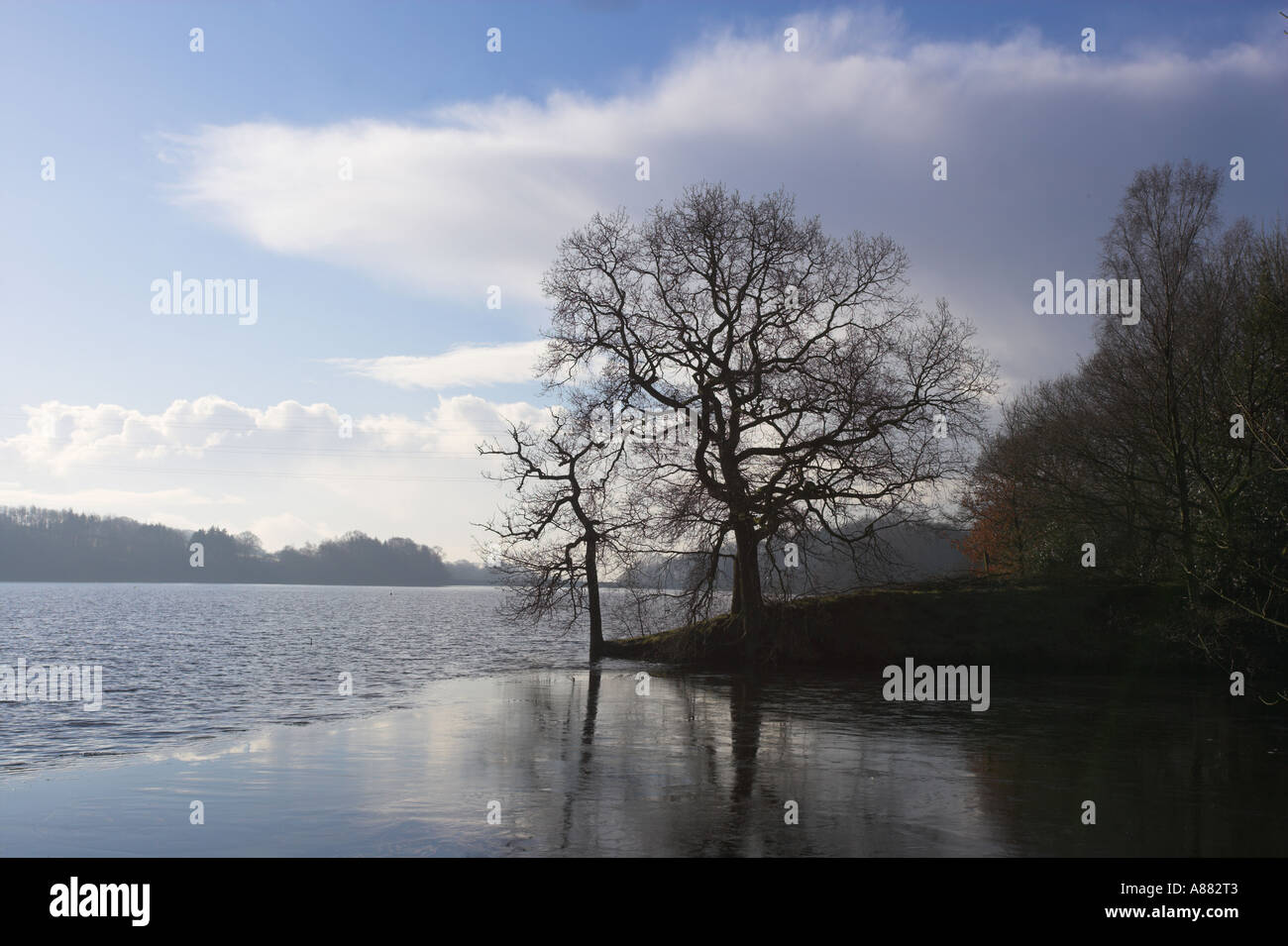 Verzettelt Reservoir Winter Lancashire UK Stockfoto