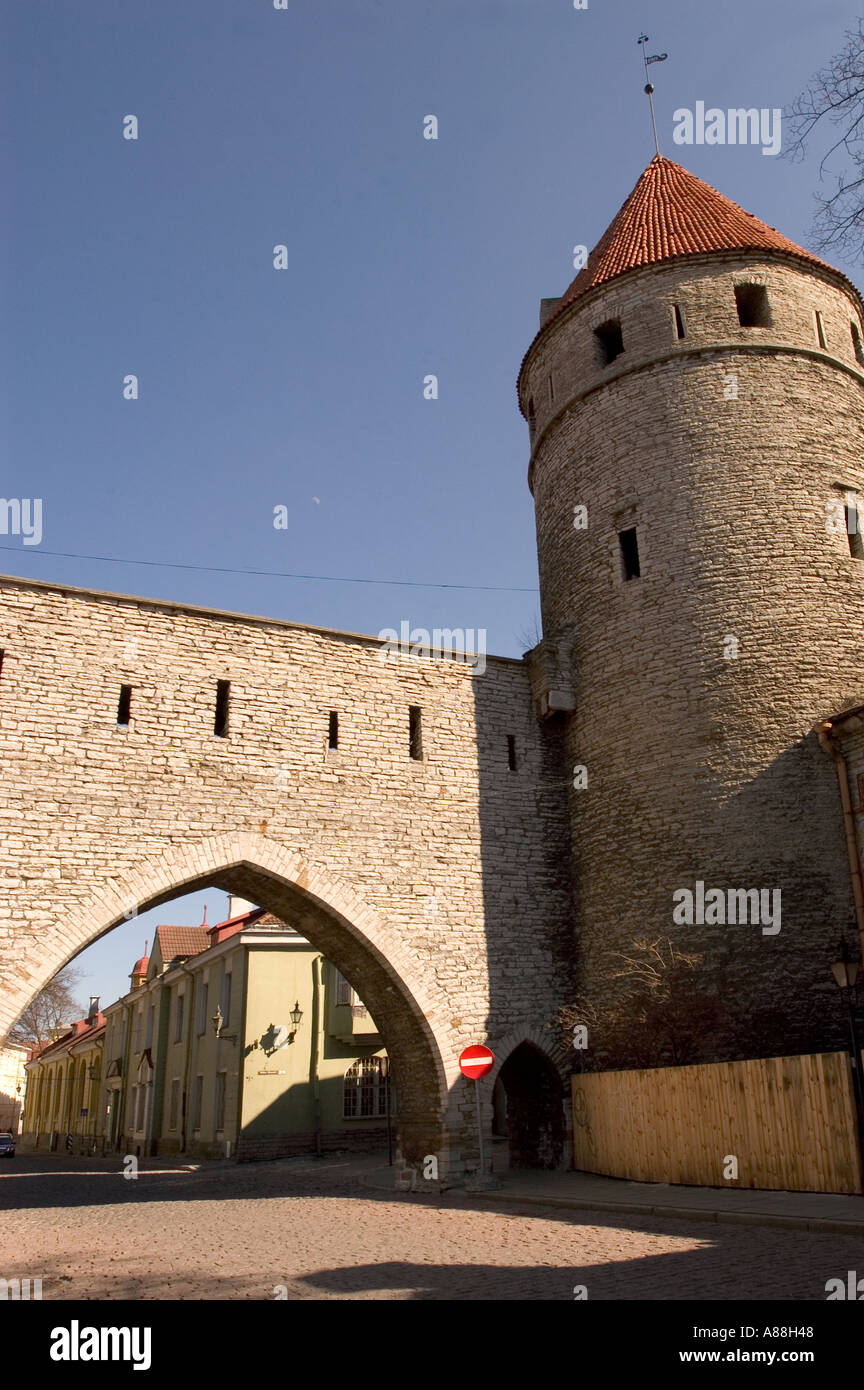 Stadttor mit Wehrturm Tallinn Estland Stockfoto