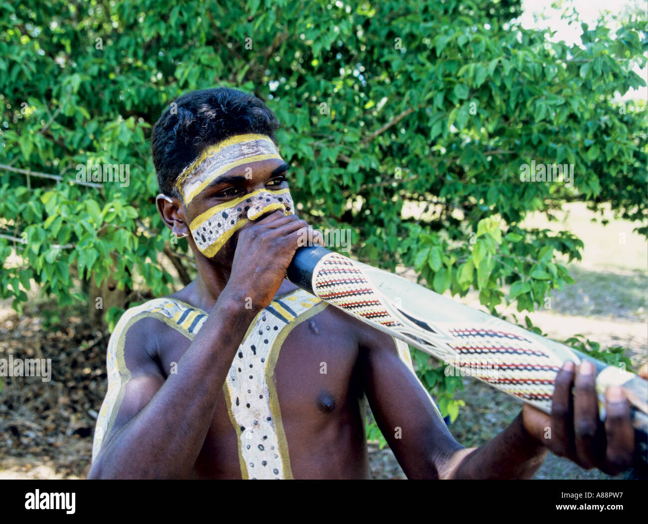 Kakadu Northern Territory Australien Stockfoto