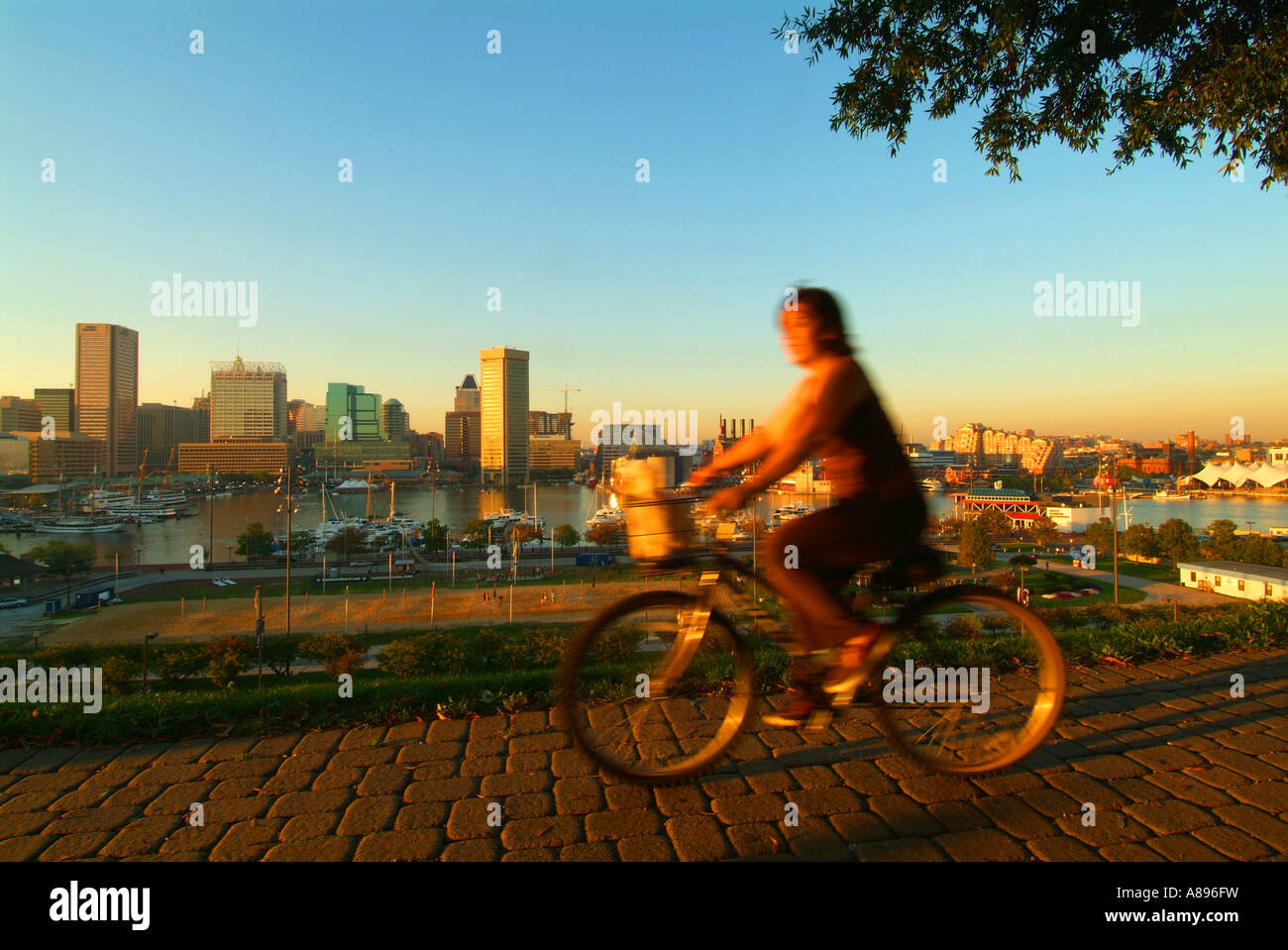 USA-Maryland-Baltimore A Radfahrer fährt entlang eines Pfads in Federal Hill Park mit Blick auf die Skyline von Baltimore Stockfoto