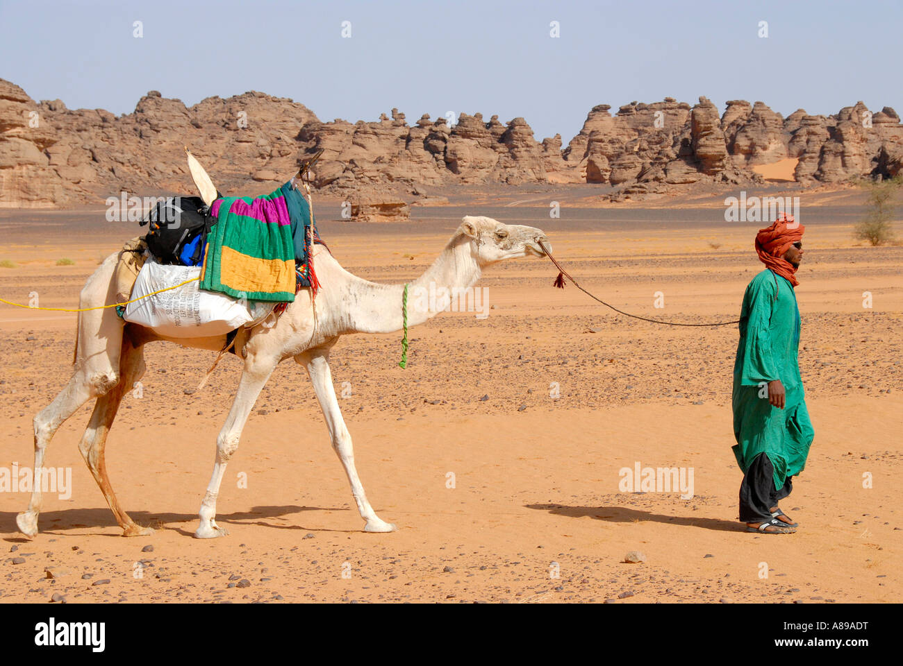 Tuareg treibt weiße Kamel durch felsige Wüste Acacus Libyen Stockfoto