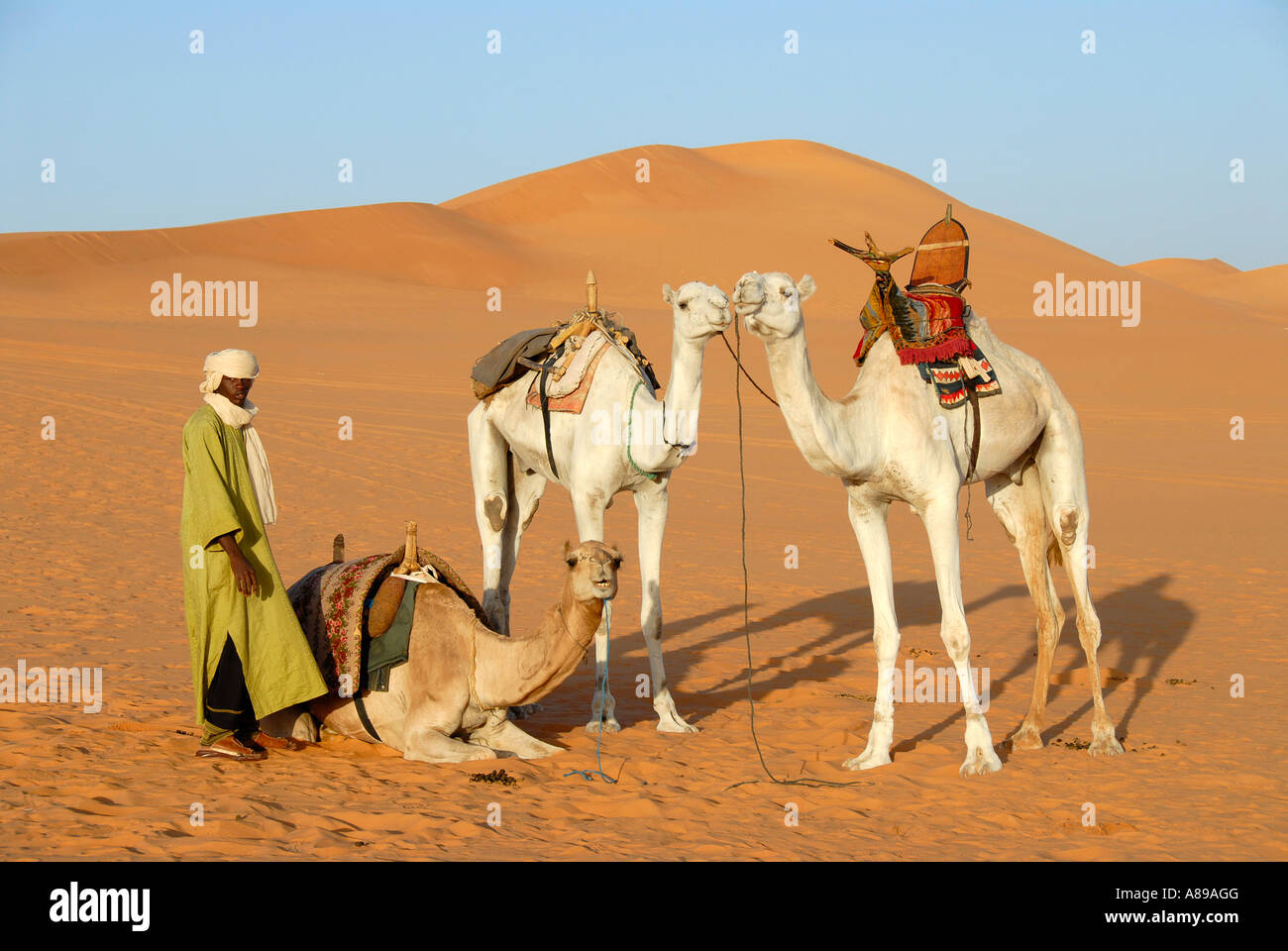 Tuareg-Aufenthalte mit Kamelen in Wüste sand Mandara Libyen Stockfoto
