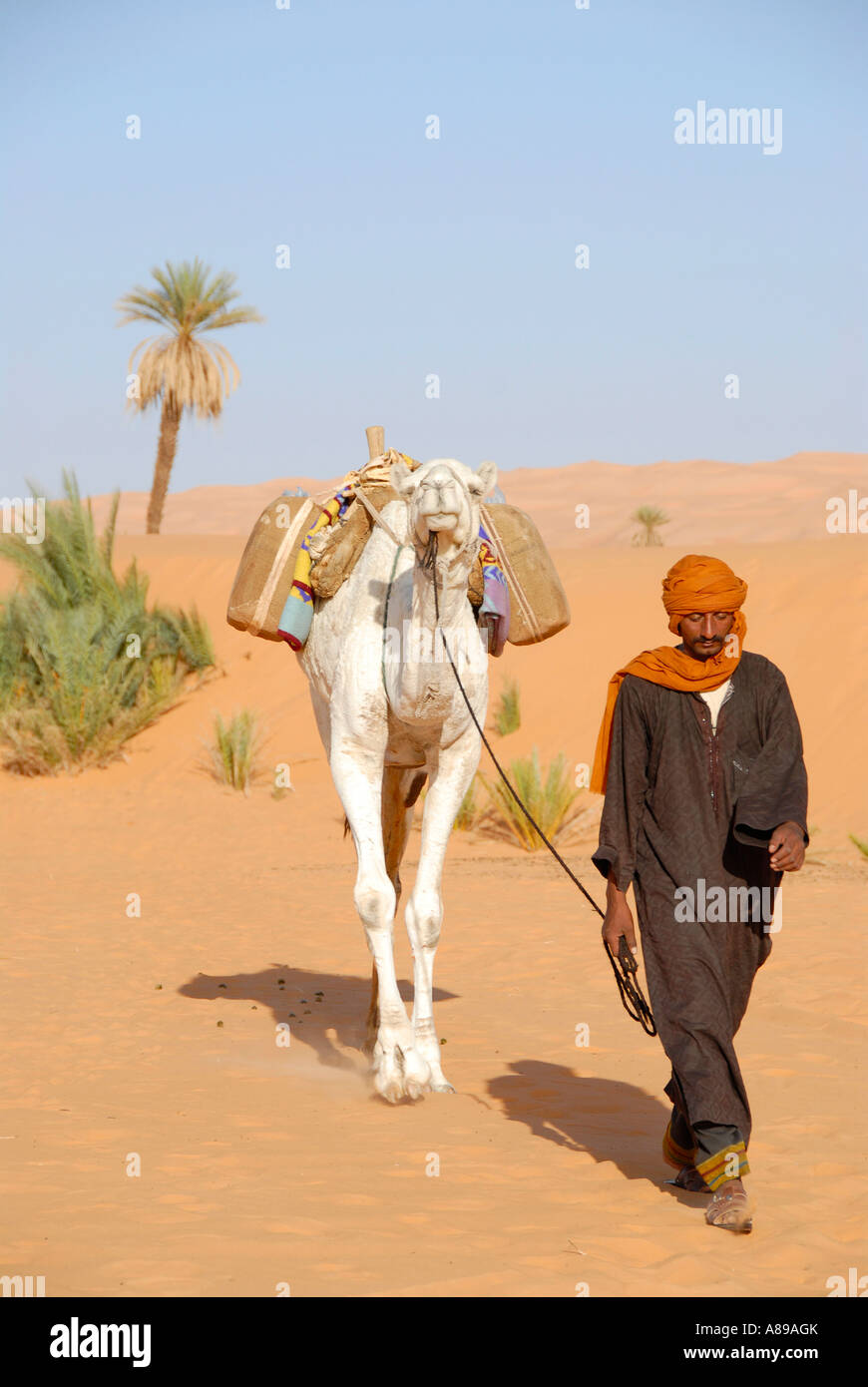 Tuareg fährt ein Kamel durch die Sand-Oase Umm el Ma Mandara Libyen Stockfoto